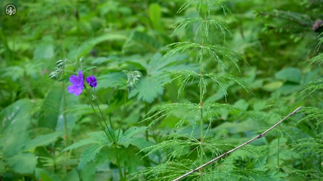  전주 결혼박람회 웨딩플래너 추천 가이드 , 결혼박람회에서 결혼준비 효율적으로 살펴보는 노하우