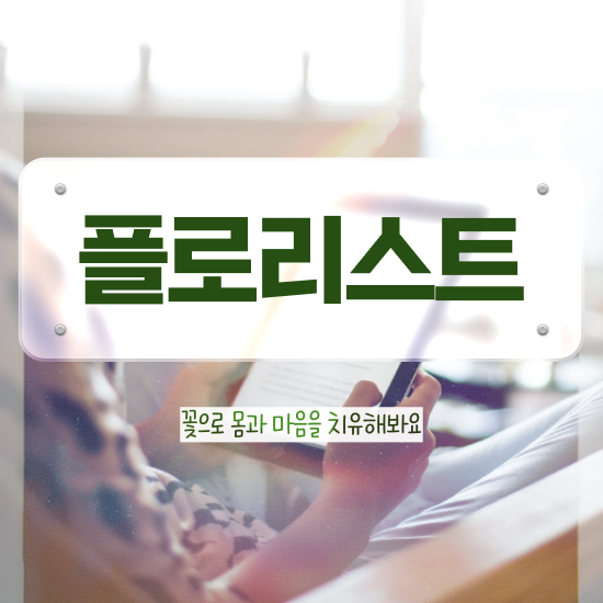  플로리스트 국비 , 플로리스트 자격증 응시자격 없이 준비한 방법 궁금하다면