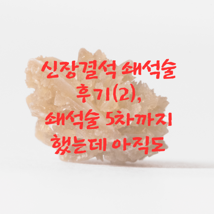  신장결석 쇄석술 후기(2)_쇄석술 5차까지 했는데 아직도