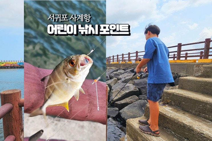  제주도 바다낚시 포인트 어린이 가볼만한곳 사계항
