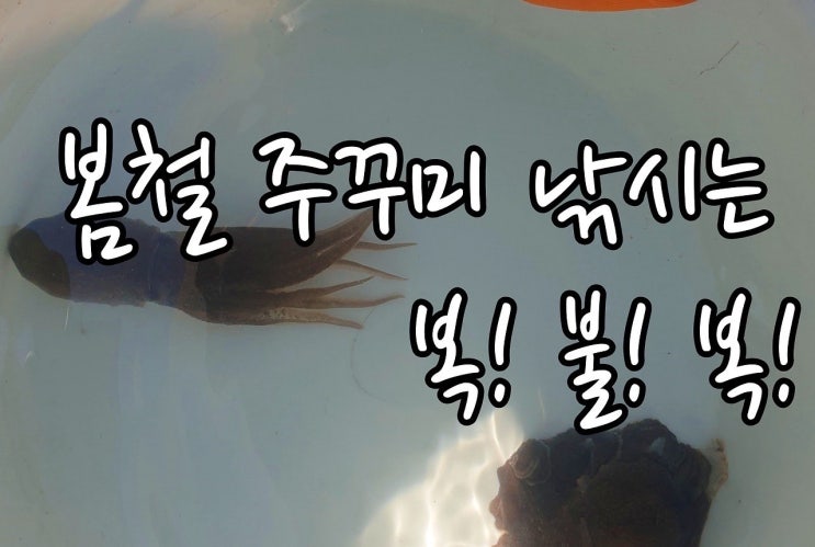  욕심을 버리는 것이 마음을 채우는, 일 봄 주꾸미, 광어 낚시! / 21. 4