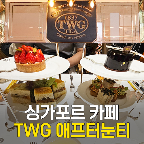  싱가포르 카페 추천 - 마리나베이샌즈 TWG티 애프터눈티 가격, 메뉴, 선물 기념품