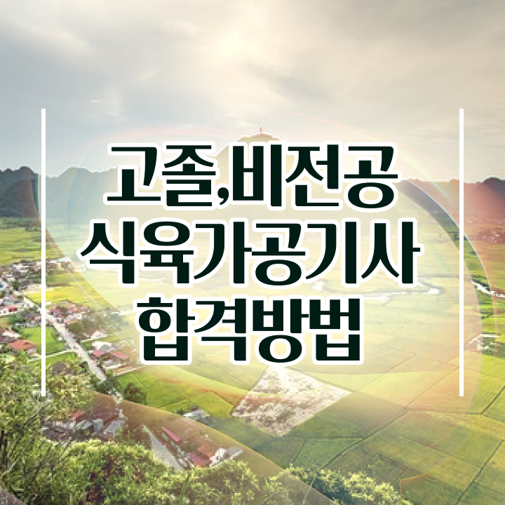  식육가공기사 실기 합격률 식육가공기사 시험응시조건 온라인 수업으로 편하게 성공한 후기