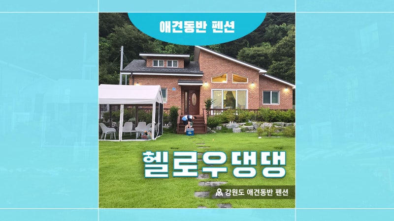 헬로우댕댕