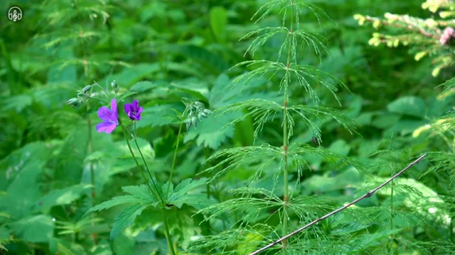  허니문 여행사 , 결혼 준비 팁 , 결혼박람회에서 빈틈없이 살펴보는 법