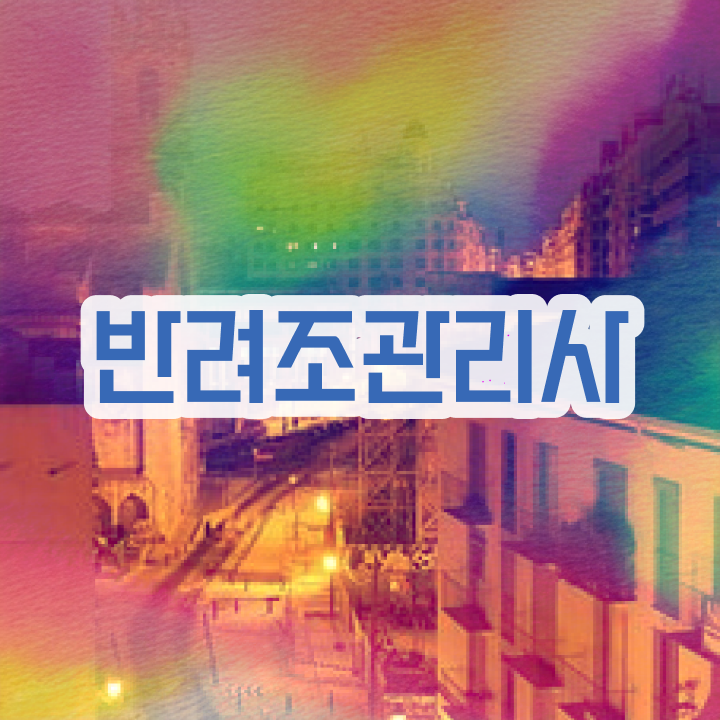  성수 앵무새 , 반려조관리사 자격증 시험준비 최단기간 취득한 과정