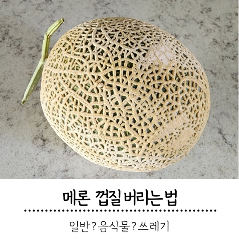 메론껍질 분리수거 일반쓰레기 음식물쓰레기?