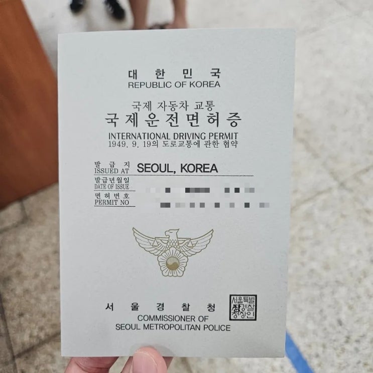  강남운전면허시험장 국제면허증 발급 경험담(feat.과태료,발급시 주의사항)