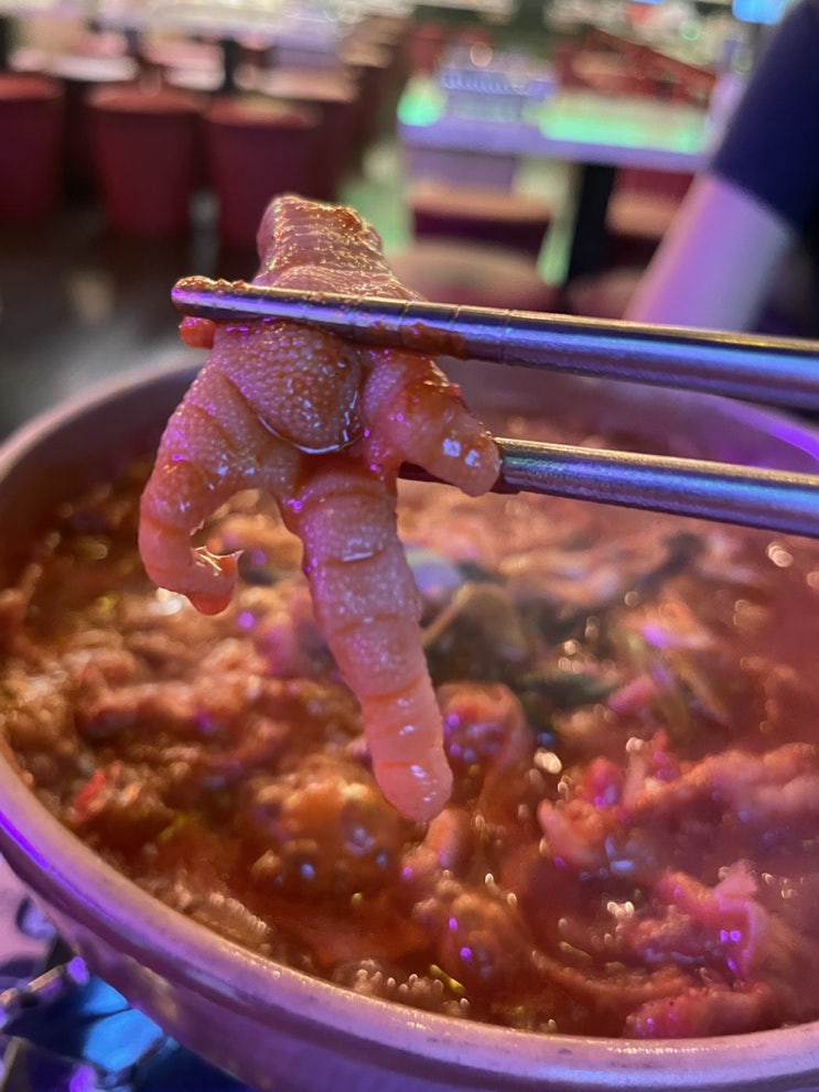 회기역 경희대술집 닭발맛집 발짝경희대점(주차가능)