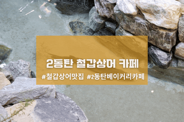  [2동탄 바스타미] 철갑상어 카페