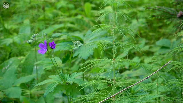  의료마케팅자격증 , 마케팅기획전문가 자격증 취득했던 후기 확인해보세요