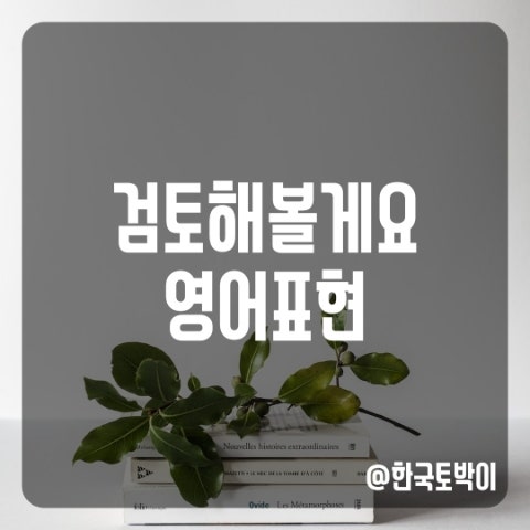 검토해보겠습니다 영어로 (review/examine/consider)