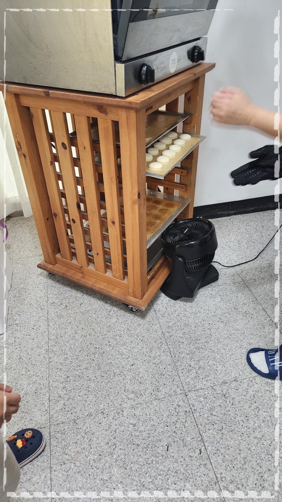 연두롱 사진 3