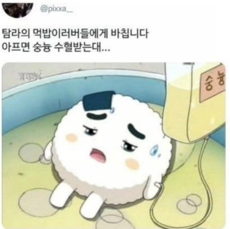  주먹밥 쿵야는 아프면..
