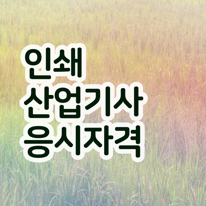  인쇄산업기사 공부방법 인쇄산업기사 취득자격 학점은행제로 15주 동안 끝낸 노하우