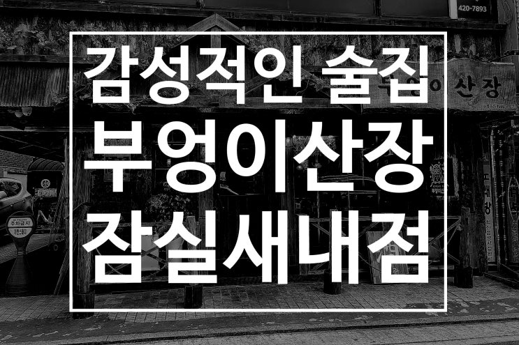  잠실새내 데이트 부엉이산장 잠실새내점 감성술집