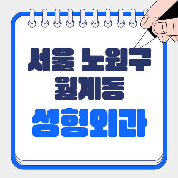  서울 노원구 월계동 성형외과  일요일 전문의 유명한 곳 추천 및 정보 총정리