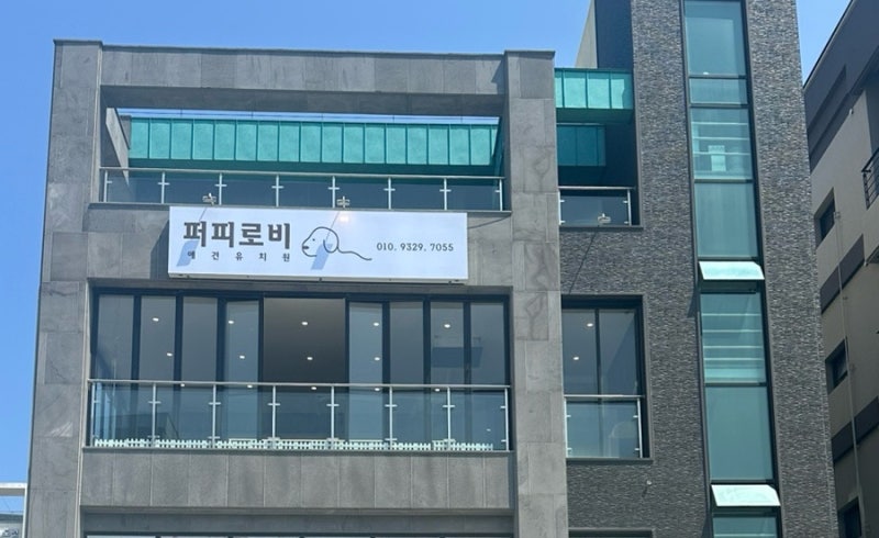 퍼피로비 강아지유치원