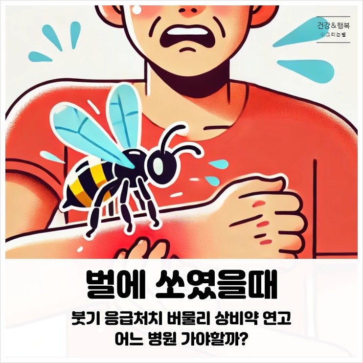  벌에 쏘였을때 붓기 응급처치 버물리 상비약 연고 어느 병원 가야할까?