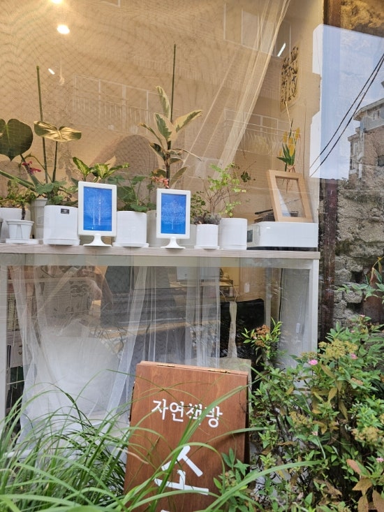 골목에서 만나는 작은 책방자연책방 소로 (용산) 골목에서 만나는 작은 책방자연책방 소로 (용산)