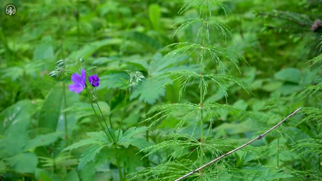  토목기사 학은제 토목기사 취득자격 온라인 수업으로 빠르게 완료한 비법