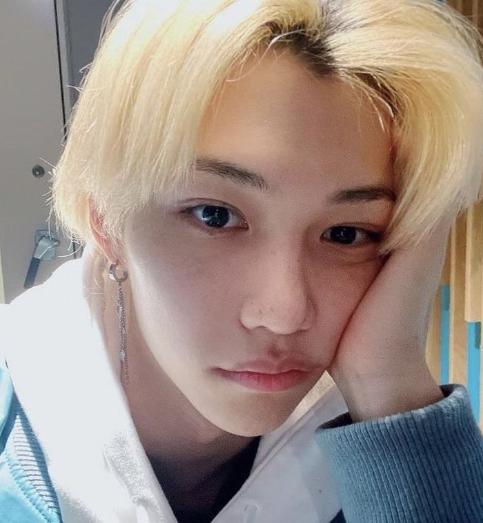 스트레이키즈 필릭스 혼혈 논란?!
