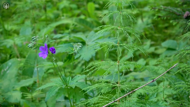  수산물품질관리원 자격증 , 취득 후 전망