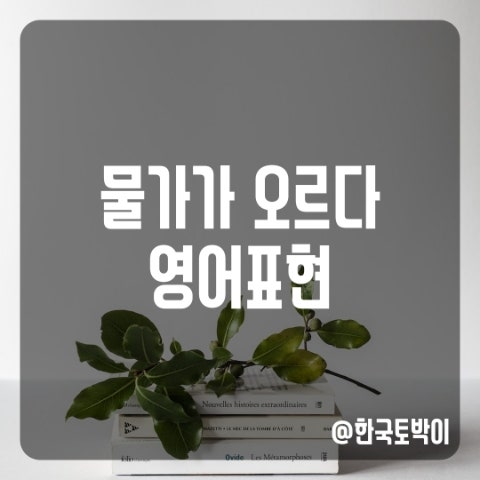  물가가 오르다, 물가 상승 영어로