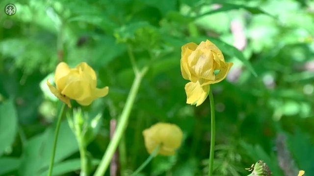  도로교통사고감정사 취업 , 자격증 학습방법