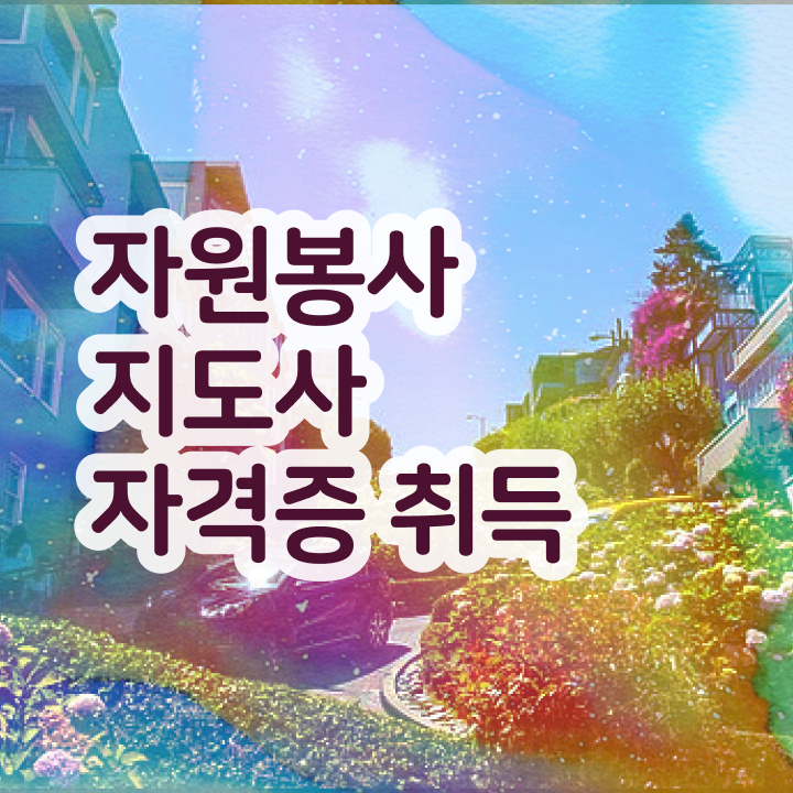  노인자원봉사실천론 , 자원봉사지도사 자격증 1급,2급 동시에 합격한 팁 , 활용 방법
