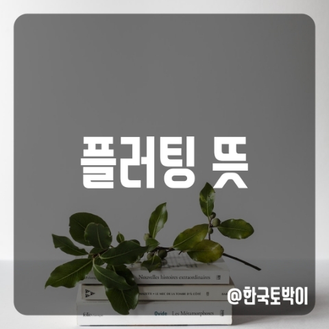  플러팅 뜻 영어로 (flirting)