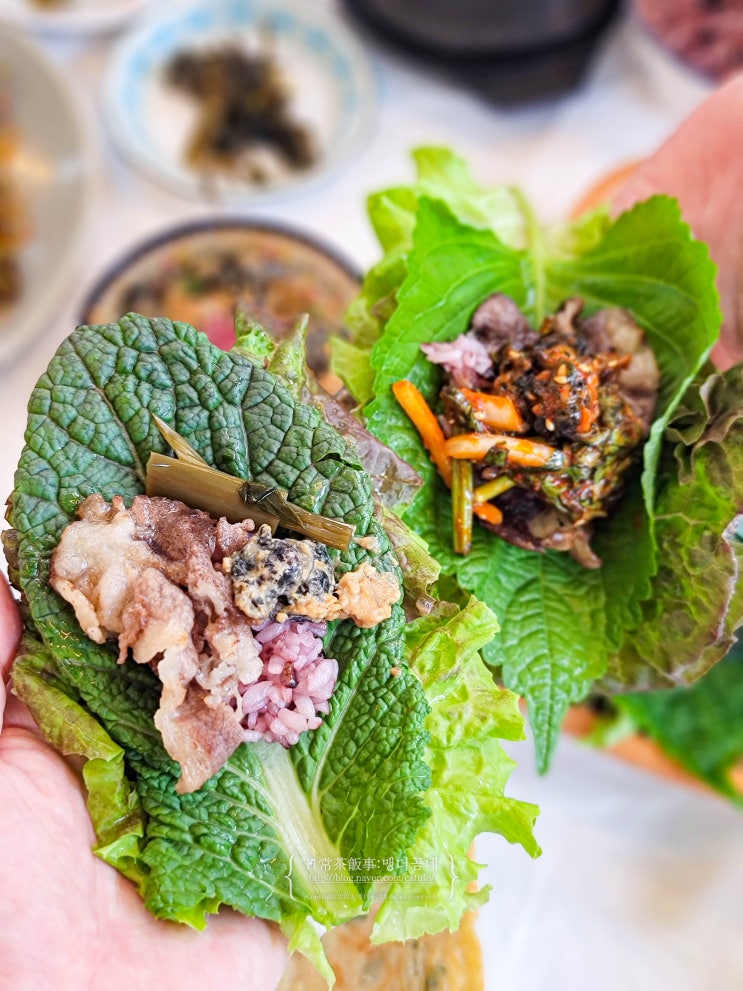  광주 쌈밥 봉선동 맛집 당산나무집 우렁쌈밥 점심