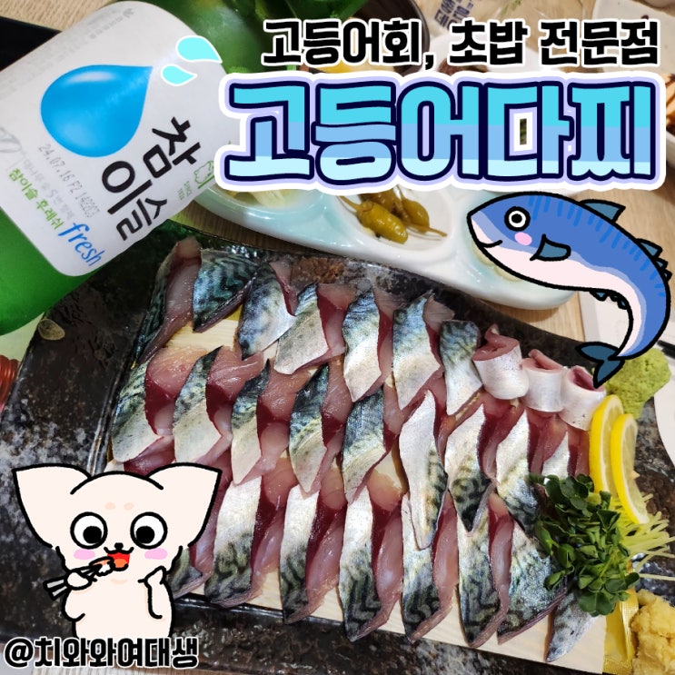  부산회맛집 고등어다찌 연산동횟집