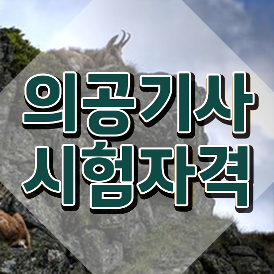  의공기사 필기 준비 의공기사 응시자격 온라인으로 1학기 만에 준비한 방법