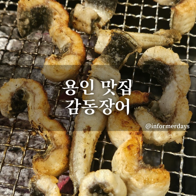  용인 맛집/감동장어 풍천 민물장어 직판장 장어구이 주차 메뉴 내돈내산 솔직후기