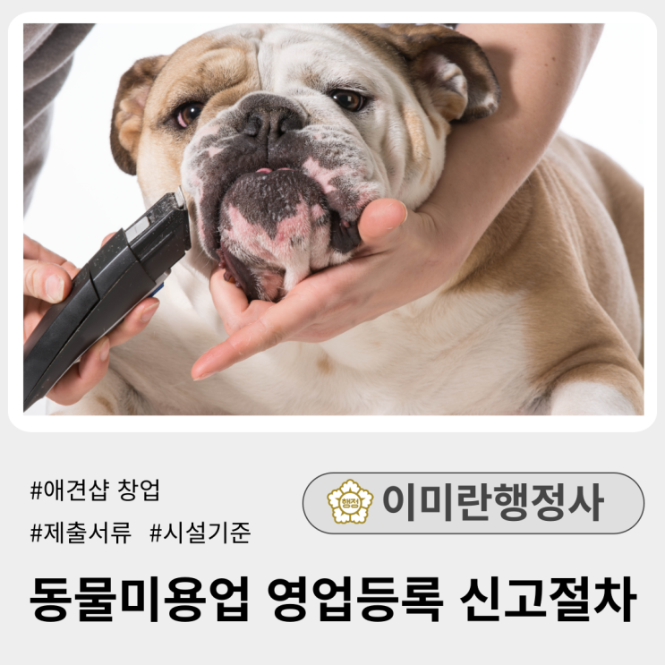 애견샵 창업 :: 동물미용업 등록신고 절차 및 제출서류 애견샵 창업 :: 동물미용업 등록신고 절차 및 제출서류