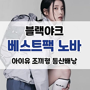 블랙야크 조끼형 등산배낭 :: 343 베스트팩 노바 / 아이유 소형 등산가방