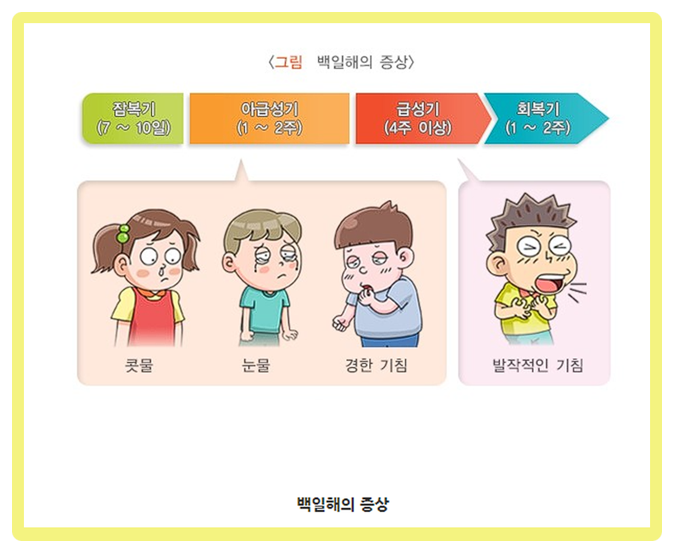  백일해 진단비 가성비로 준비하는 추천플랜