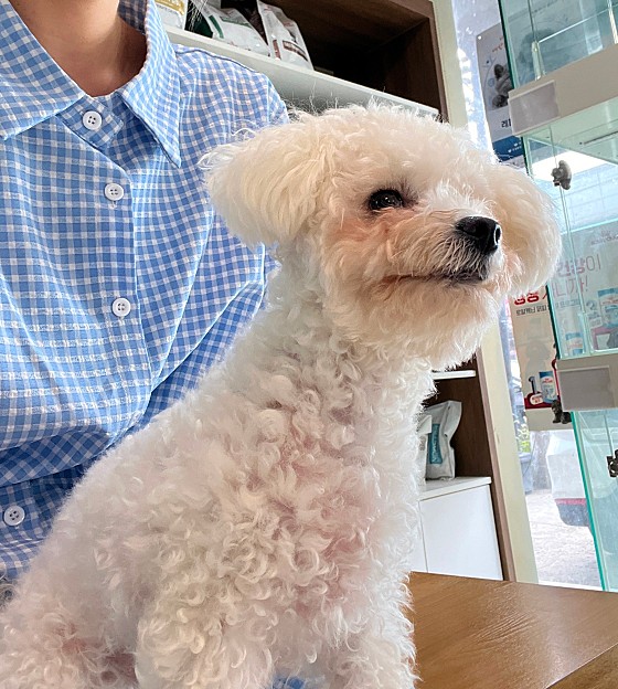 마송동물병원 사진 2