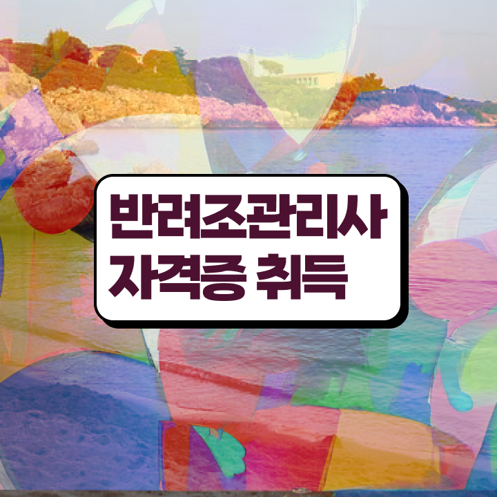  , 반려조관리사 자격증 취득한 방법 확인하고 가세요