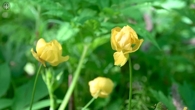  수산물품질관리사 자격증 , 합격 후기