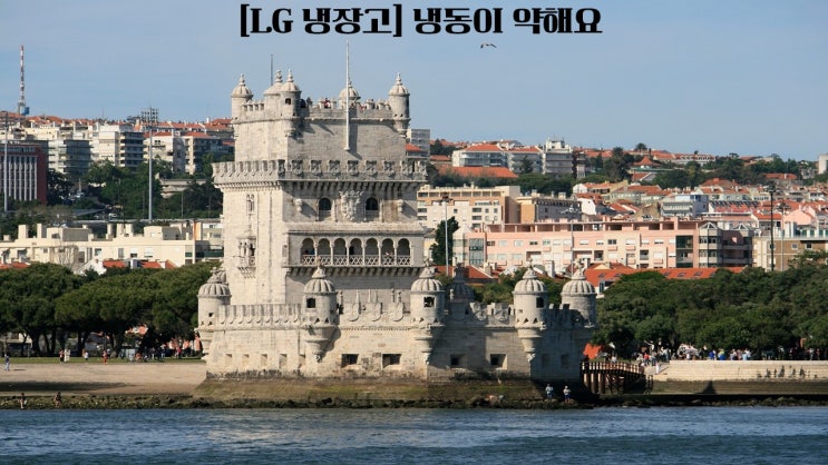  정수기형냉장고/LG 냉장고 냉동이 약해요