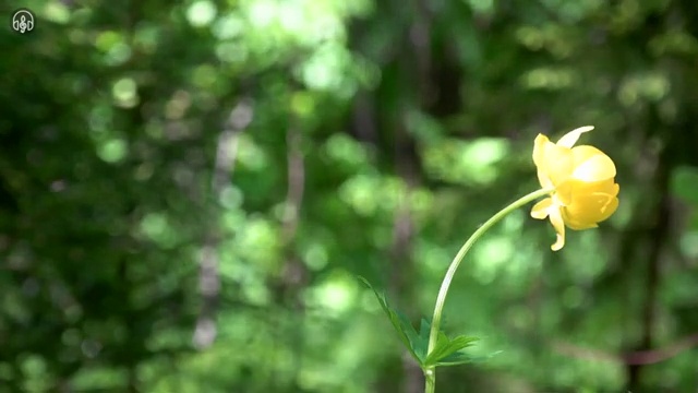  수산물품질관리사 자격증 , 합격 전략