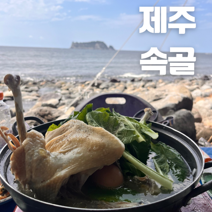  계곡에 발 담그며 백숙 먹는 서귀포  속골 웨이팅 없이 들어가는 법