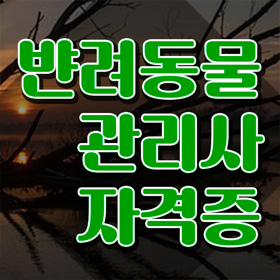  반려동물관리사교재 , 반려동물관리사 자격증 취득한 과정 정리했어요
