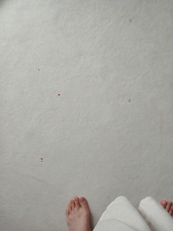 마송동물병원 사진 3