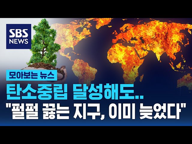 탄소중립 달성해도…"펄펄 끓는 지구, 이미 늦었다" 탄소중립 달성해도…"펄펄 끓는 지구, 이미 늦었다"