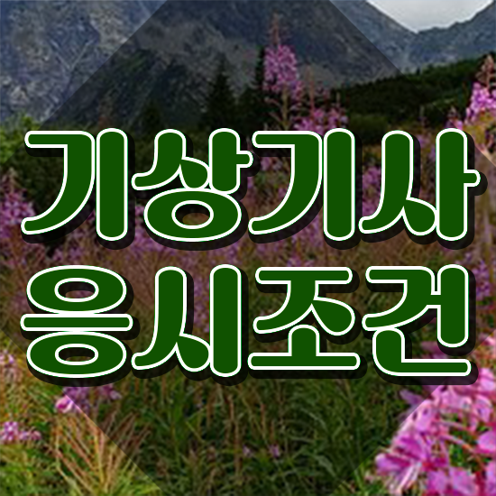 기상기사 자격요건 독학으로 1학기에 완료한 방법