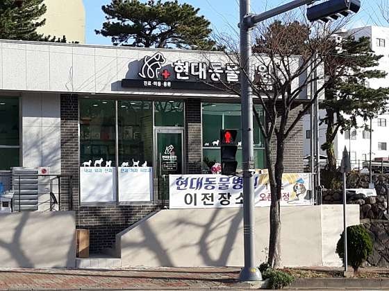 현대동물병원 사진 1