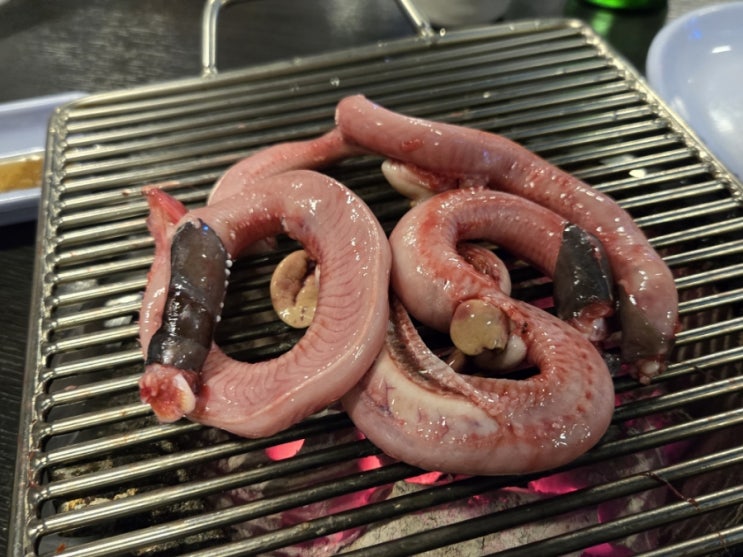  공덕역 술집 산꼼장어 숯불구이 어부의 딸 솔직후기